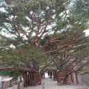 신기리 고분군 이미지