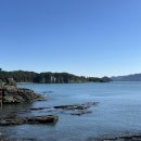 충무김밥고성할매