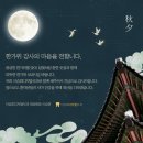 금강치과의원 이미지