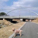 동화교 앞 이미지