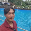 노을에 기댄 언덕 이미지