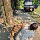 옥진민박 이미지