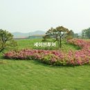 골프친구들 이미지