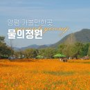 1월 30일(목) 양평 물의정원 산책 (오전 11시 30분) 이미지