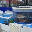 용이수산 네이버블로그
