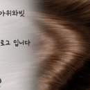 백포차 이미지