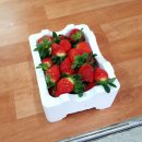 제1벧엘농장 이미지