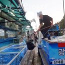 광명수산 수원역점 이미지