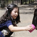 (주)파인글로벌