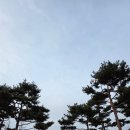 안성맞춤랜드공원2 이미지