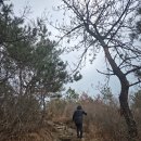 망마경기장 | 여수, 고락산 등산 초보 코스와 등산로입구 추천(등린이 5일차)