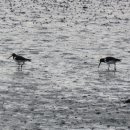 학익빗물펌프장 이미지