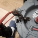 구로-현장-구로-1375 | 변기막힘으로 고생하다가 하수구브라더스(오류동) 덕분에 깔끔히 해결한 후기