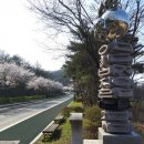 갈미농장 네이버블로그