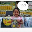 현서네마테차 이미지