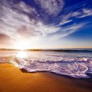 미용사자격증 이미지