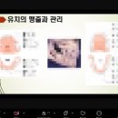 [온라인 산모교실] 매터니티스쿨 ON AIR 490기(임신과 치아건강) 후기