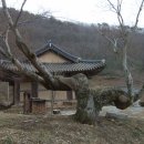 용추사 - 1852 | 용추사