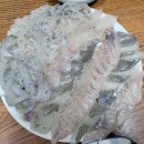 삼우삼천포 이미지