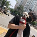 자몽 안경원 이미지