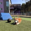 미리내하우스 네이버블로그
