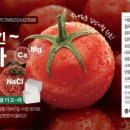에스티벤처스