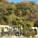 [청주] 더리버에스 풀빌라 내돈내산 후기 / 서울 근교 풀빌라 🏠