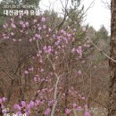 대전~갑하산~신선봉~우산봉~구절봉 이미지