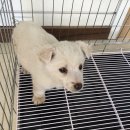 서령초등학교 이미지