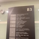 아트빌딩 | 63아트 맥스 달튼 전시회 63빌딩 전망대 후기