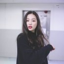 청춘노래 이미지
