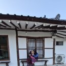 철이네 민박 이미지