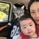 별끌림하우스 이미지