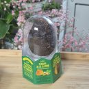 GS25 감곡오향점 | 두바이 초코 소르베 gs25 가격 칼로리 후기