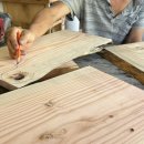 스테이 서하 이미지