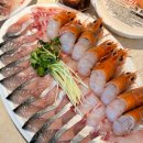 제주위딤 | 제주 협재 회포장 맛집 옹포횟집 딱새우회 고등어회 돔 포장 후기 주차장 아기의자