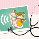 이엔티보청기 이미지