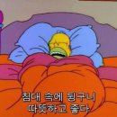 오늘;눈썹