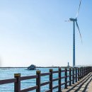 푸른신창 | 신창풍차해안도로 일몰 전동자전거 체험! 물때 확인 필수 꿀팁까지