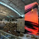 세븐일레븐 여수공항로점 | 🇯🇵 23.12 오사카&amp;교토 여행기 - DAY 1 (하루카스 300, 모츠나베 다이고, 도톤보리, 돈키호테) 🇯🇵