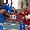 판교스타복싱 이미지