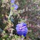 옥계남로-2 이미지