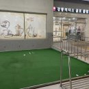 강릉 리더스골프클럽(실외) 이미지