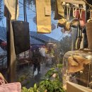 신호등 탕후루 | [대만] P 세자매가 떠난 무계획 3박 4일 여행 후기