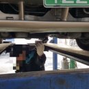 대일카써비스 이미지