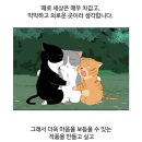 나비천사 | [공지] [야생천사 보호구역] 가장 무해한 인간을 통해 보는 사랑과 선함의 강함