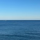 씨유 죽변점 | 아프고 게으르고 맛있었던 한 달