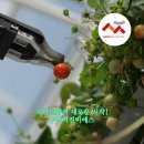 (주)비에스파트너