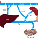 해봄동물병원 이미지