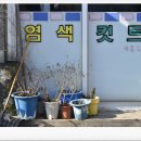 풍농양은